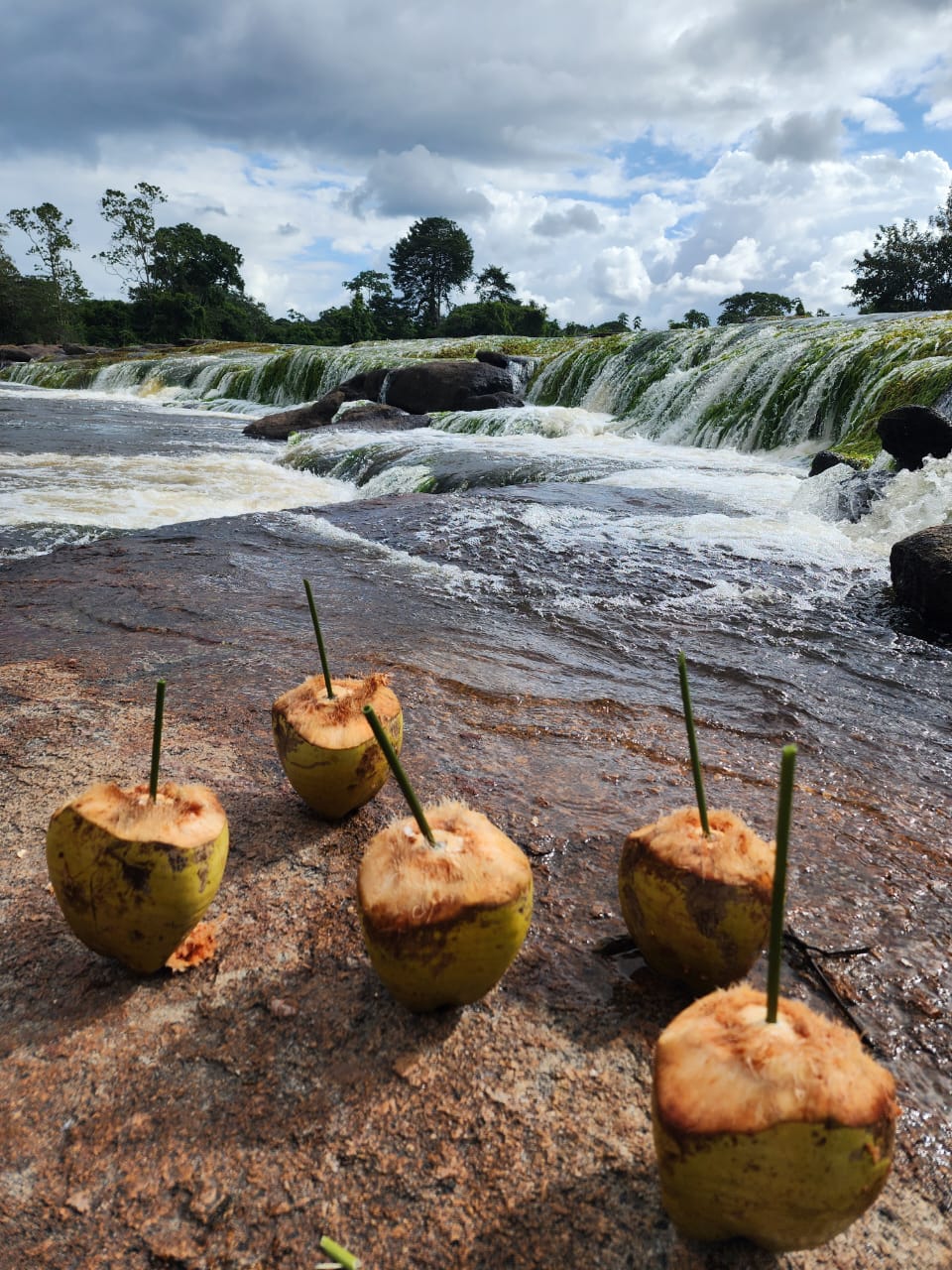 Ananasberg expeditie Suriname