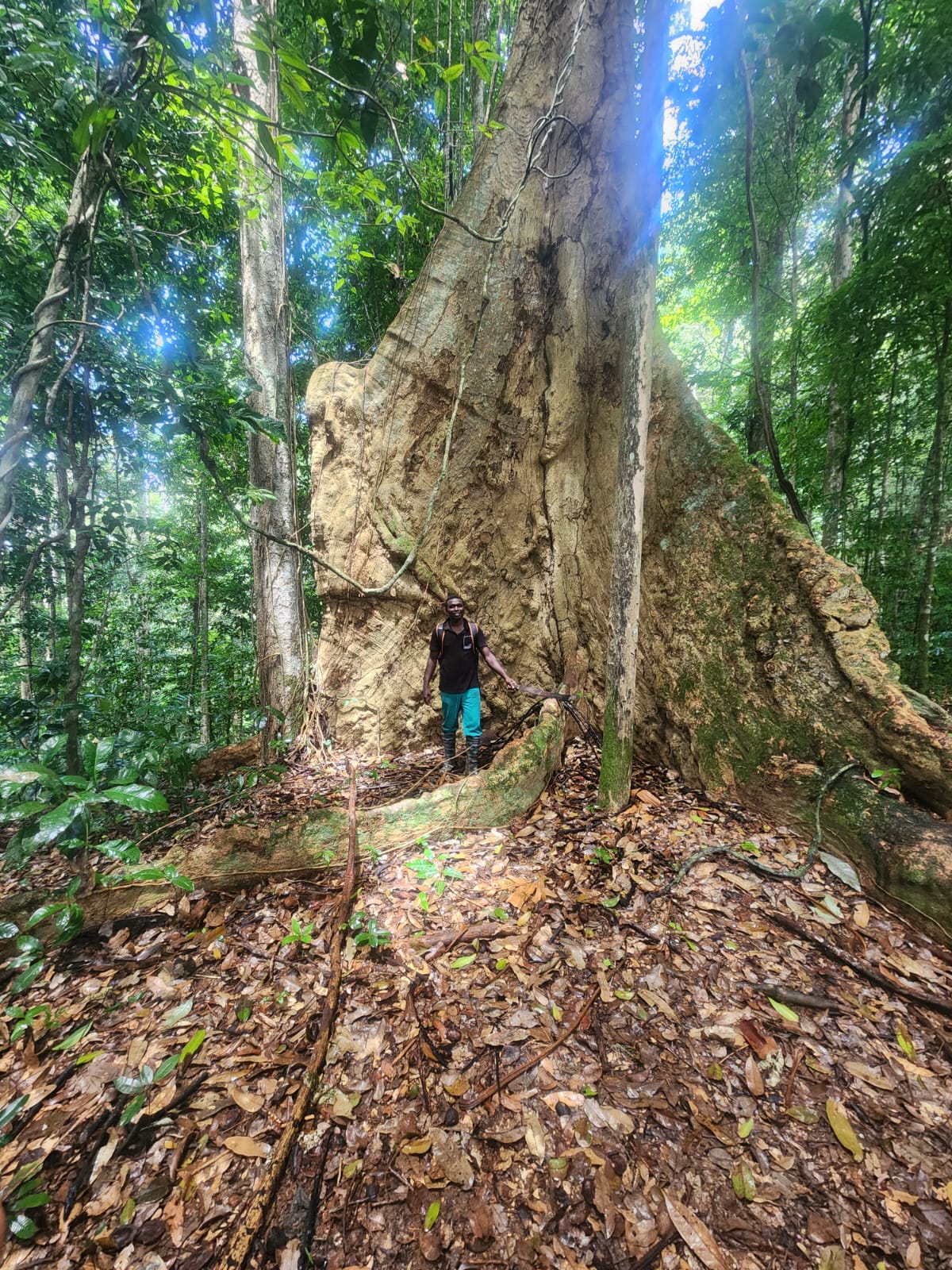 Brownsberg jungle expeditie Suriname