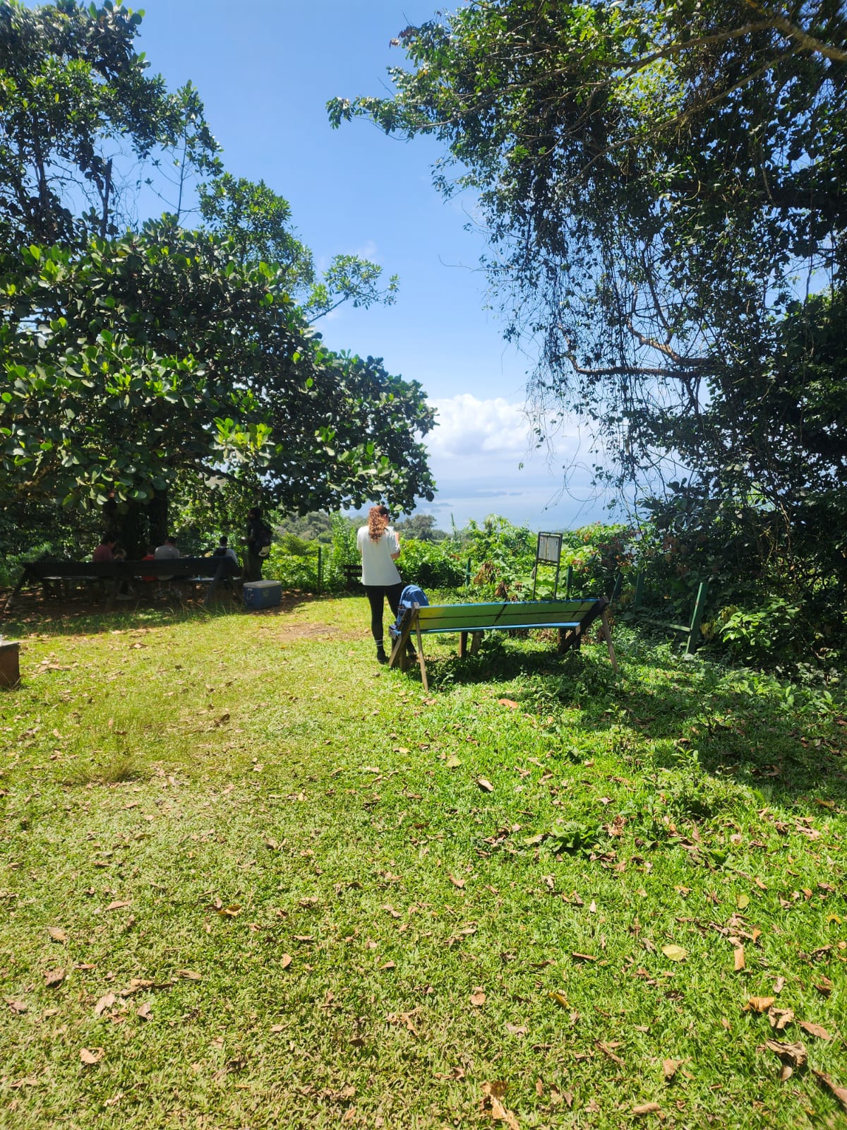 Brownsberg jungle expeditie Suriname