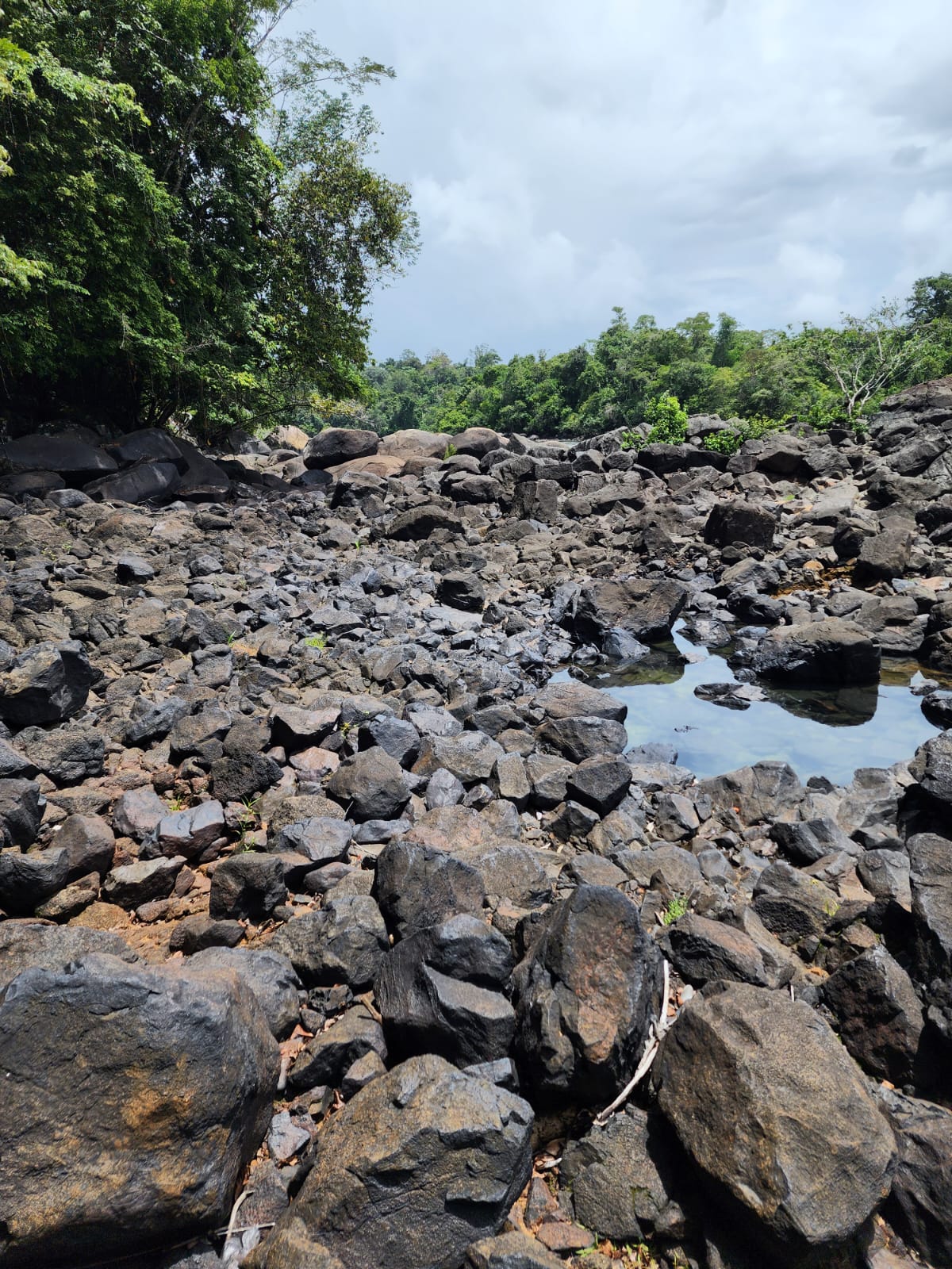 Voltzberg Expeditie Suriname